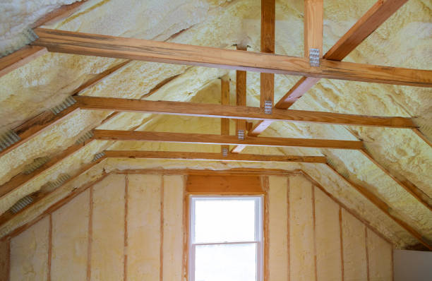 Best Affordable Insulation Services  in Canton, TX