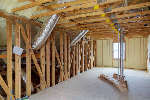 Best Insulation Contractors for Homes  in Canton, TX