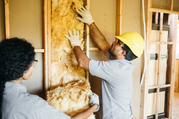 Best Local Insulation Services  in Canton, TX