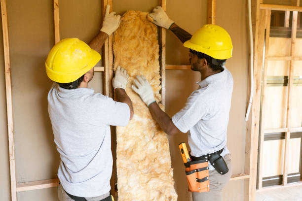 Best Insulation Contractor Near Me  in Canton, TX