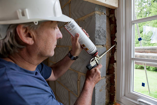 Best Attic Insulation Installation  in Canton, TX