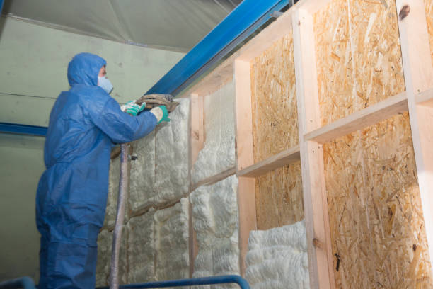 Best Spray Foam Insulation  in Canton, TX